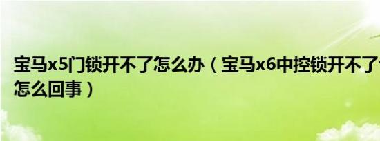 宝马x5门锁开不了怎么办（宝马x6中控锁开不了也锁不了是怎么回事）