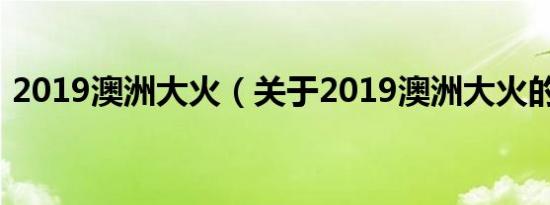 2019澳洲大火（关于2019澳洲大火的介绍）