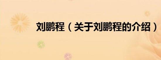 刘鹏程（关于刘鹏程的介绍）