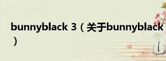 bunnyblack 3（关于bunnyblack 3的介绍）