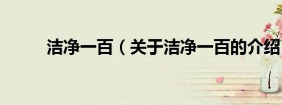 洁净一百（关于洁净一百的介绍）