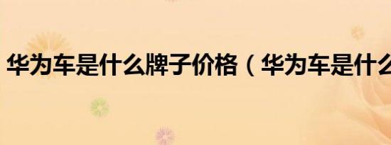 华为车是什么牌子价格（华为车是什么牌子）
