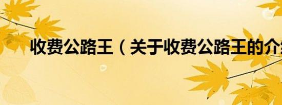 收费公路王（关于收费公路王的介绍）