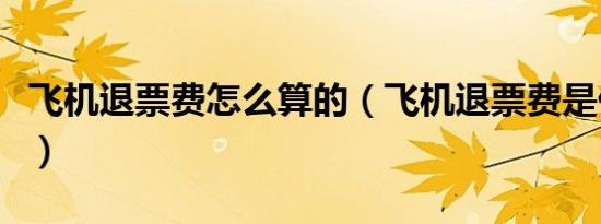 飞机退票费怎么算的（飞机退票费是什么意思）
