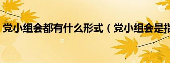 党小组会都有什么形式（党小组会是指什么）