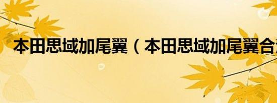 本田思域加尾翼（本田思域加尾翼合法吗）