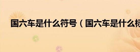 国六车是什么符号（国六车是什么标志）