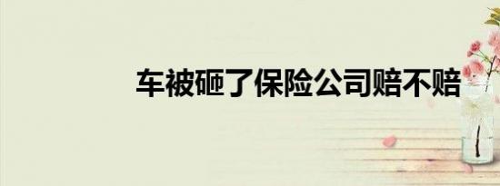 车被砸了保险公司赔不赔
