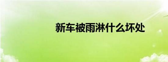 新车被雨淋什么坏处
