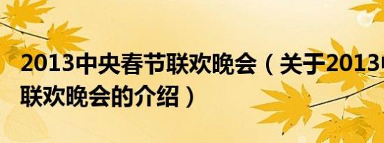 2013中央春节联欢晚会（关于2013中央春节联欢晚会的介绍）