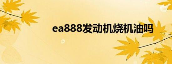 ea888发动机烧机油吗