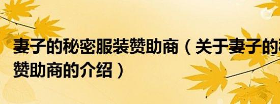 妻子的秘密服装赞助商（关于妻子的秘密服装赞助商的介绍）