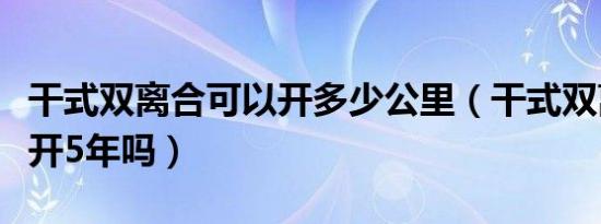 干式双离合可以开多少公里（干式双离合可以开5年吗）