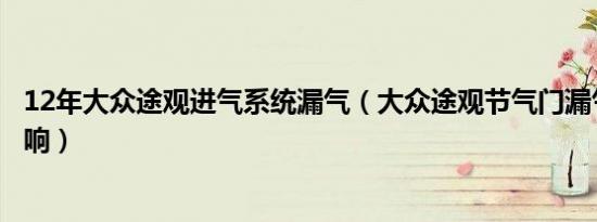 12年大众途观进气系统漏气（大众途观节气门漏气有什么影响）