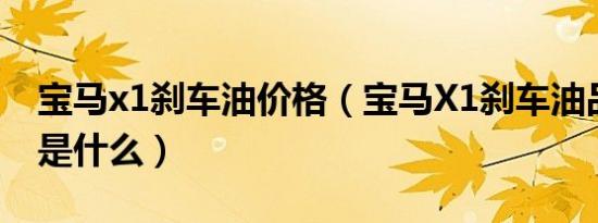 宝马x1刹车油价格（宝马X1刹车油品牌型号是什么）