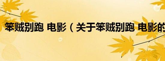笨贼别跑 电影（关于笨贼别跑 电影的介绍）