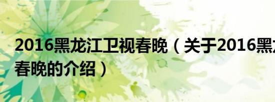2016黑龙江卫视春晚（关于2016黑龙江卫视春晚的介绍）