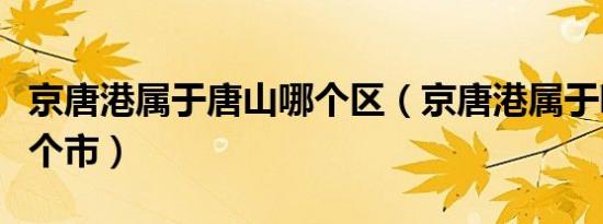 京唐港属于唐山哪个区（京唐港属于哪个省哪个市）