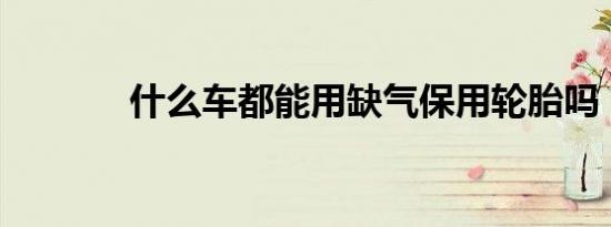 什么车都能用缺气保用轮胎吗