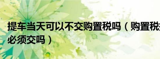 提车当天可以不交购置税吗（购置税提车当天必须交吗）