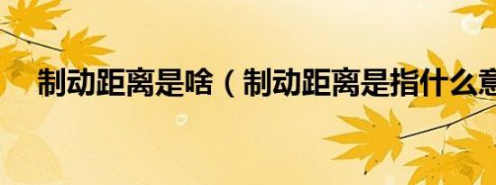 制动距离是啥（制动距离是指什么意思）