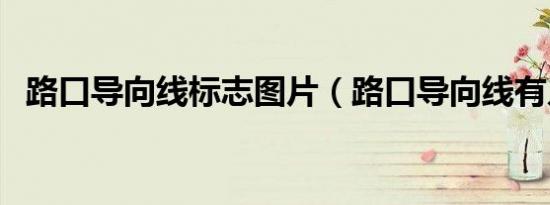 路口导向线标志图片（路口导向线有几种）