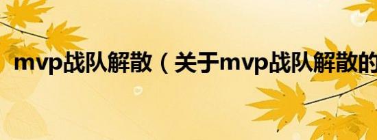 mvp战队解散（关于mvp战队解散的介绍）