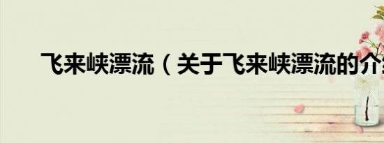 飞来峡漂流（关于飞来峡漂流的介绍）