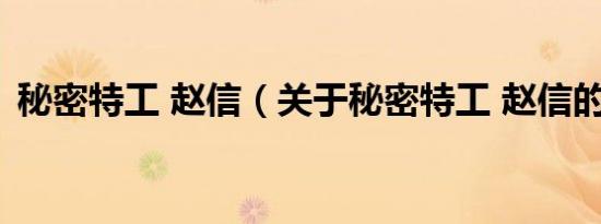 秘密特工 赵信（关于秘密特工 赵信的介绍）