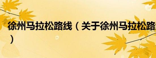 徐州马拉松路线（关于徐州马拉松路线的介绍）