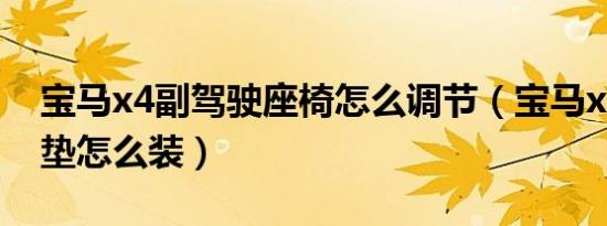 宝马x4副驾驶座椅怎么调节（宝马x4后排坐垫怎么装）