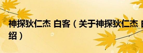 神探狄仁杰 白客（关于神探狄仁杰 白客的介绍）