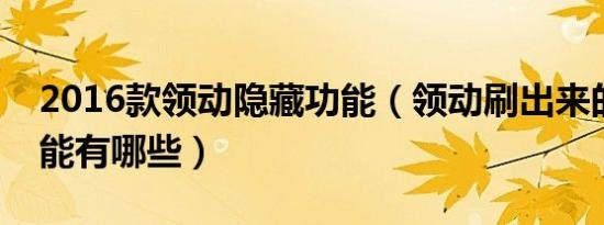 2016款领动隐藏功能（领动刷出来的隐藏功能有哪些）