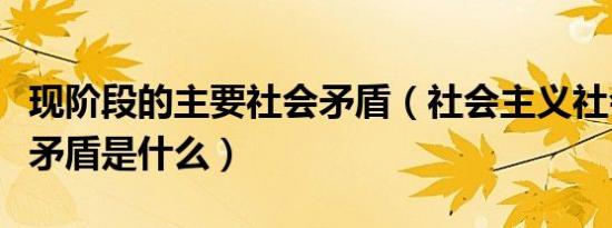 现阶段的主要社会矛盾（社会主义社会的基本矛盾是什么）