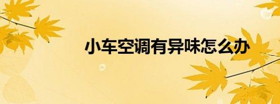小车空调有异味怎么办