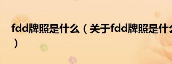 fdd牌照是什么（关于fdd牌照是什么的介绍）