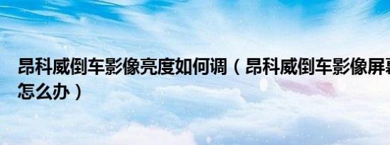 昂科威倒车影像亮度如何调（昂科威倒车影像屏幕不怎么亮怎么办）