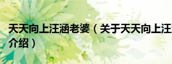 天天向上汪涵老婆（关于天天向上汪涵老婆的介绍）