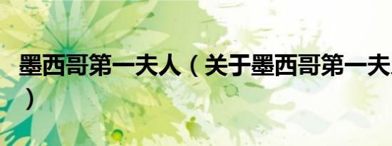 墨西哥第一夫人（关于墨西哥第一夫人的介绍）