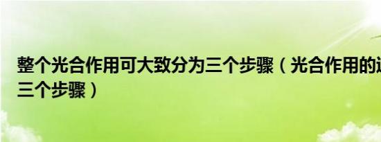 整个光合作用可大致分为三个步骤（光合作用的过程分为哪三个步骤）