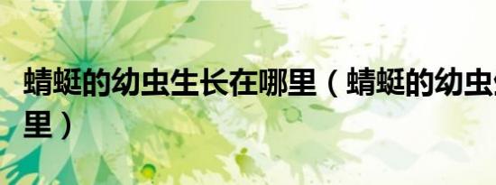 蜻蜓的幼虫生长在哪里（蜻蜓的幼虫生活在哪里）