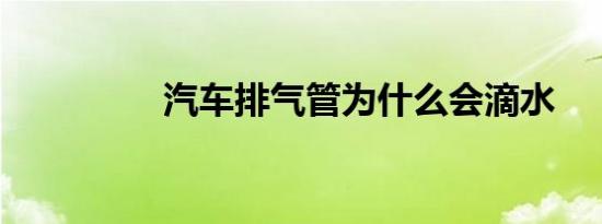 汽车排气管为什么会滴水