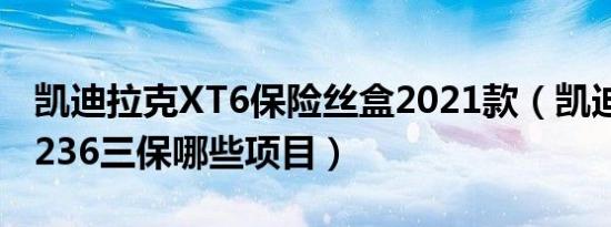 凯迪拉克XT6保险丝盒2021款（凯迪拉克XT236三保哪些项目）