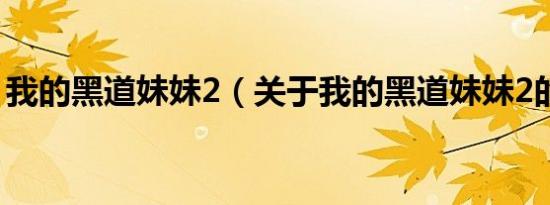 我的黑道妹妹2（关于我的黑道妹妹2的介绍）