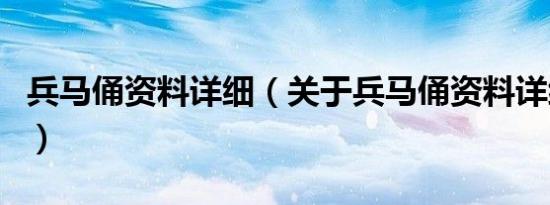 兵马俑资料详细（关于兵马俑资料详细的介绍）