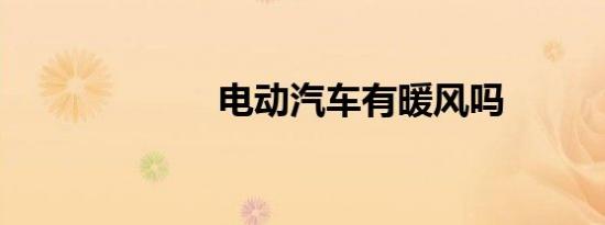 电动汽车有暖风吗
