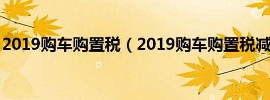 2019购车购置税（2019购车购置税减半吗?）