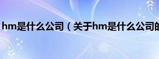 hm是什么公司（关于hm是什么公司的介绍）