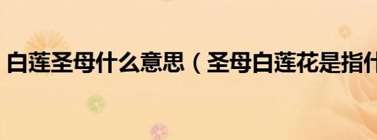 白莲圣母什么意思（圣母白莲花是指什么人）