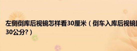 左侧倒库后视镜怎样看30厘米（倒车入库后视镜图解怎么看30公分?）
